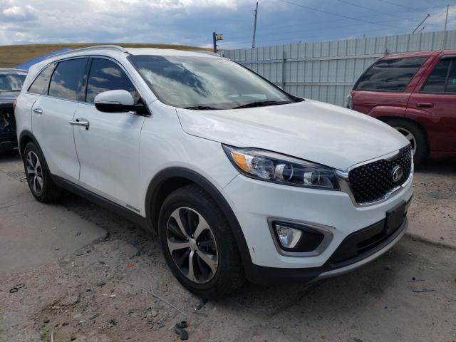 KIA SORENTO EX 2016 with VIN 5XYPHDA50GG098671 - Photo from auction