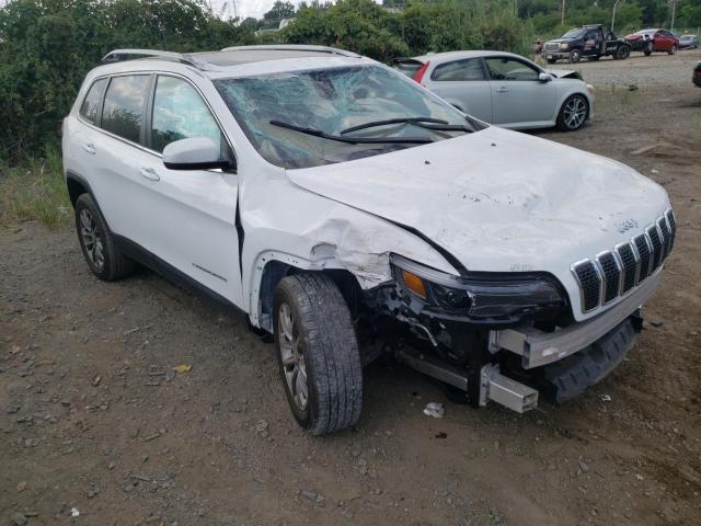 Photo 1 from auction – 2020 JEEP CHEROKEE L with VIN 1C4PJLLBXLD511545