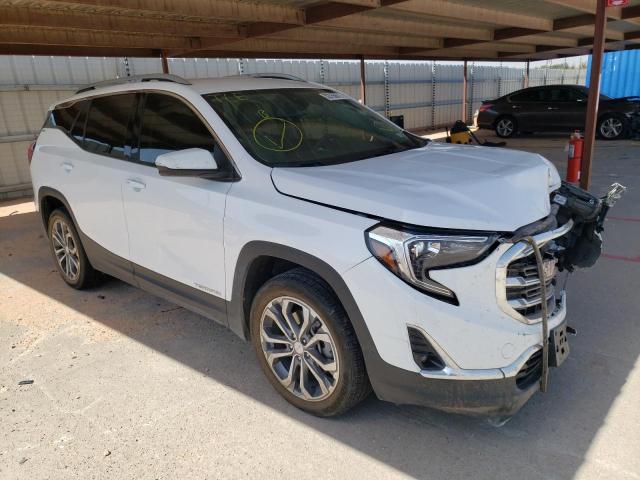 GMC TERRAIN SL 2020 with VIN 3GKALPEX3LL337705 - Photo from auction
