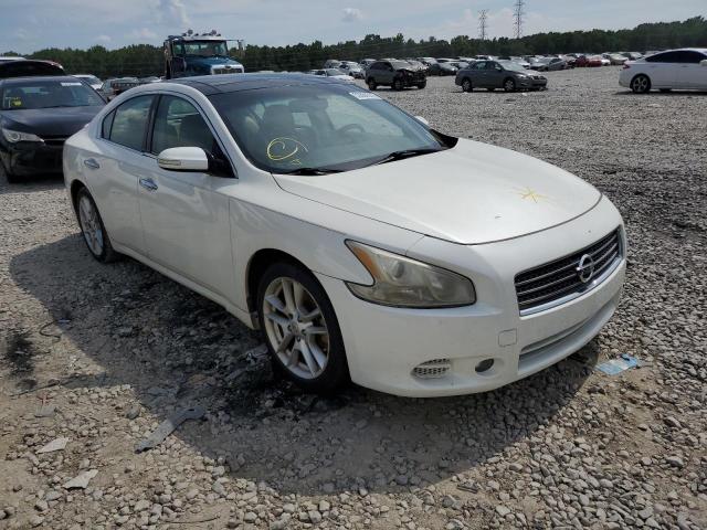 NISSAN MAXIMA S 2009 with VIN 1N4AA51E89C802922 - Photo from auction