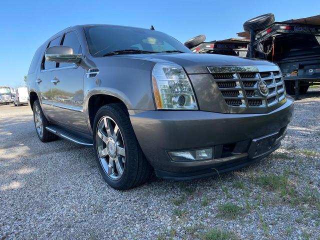 CADILLAC ESCALADE L 2012 with VIN 1GYS3BEF4CR309182 - Photo from auction