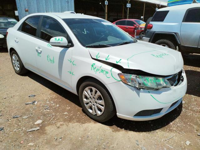 KIA FORTE EX 2012 with VIN KNAFU4A24C5564275 - Photo from auction