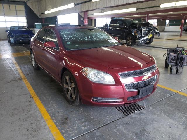 CHEVROLET MALIBU 2LT 2009 with VIN 1G1ZJ57B79F233918 - Photo from auction