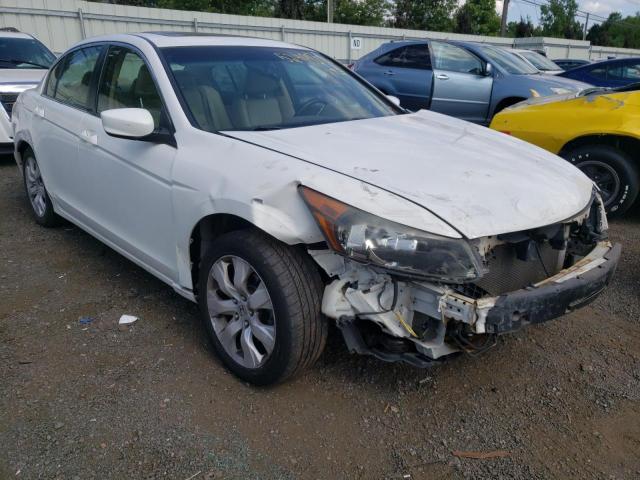 HONDA ACCORD EXL 2010 with VIN 1HGCP2F83AA049305 - Photo from auction