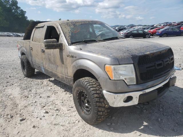 FORD F150 SUPER 2009 with VIN 1FTPW14VX9FB02019 - Photo from auction