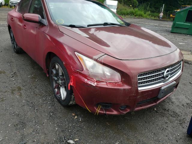 Photo 9 from auction – 2009 NISSAN MAXIMA S with VIN 1N4AA51EX9C860949