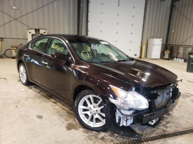 NISSAN MAXIMA S 2013 with VIN 1N4AA5AP8DC800792 - Photo from auction