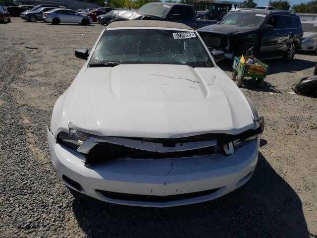 Photo 9 from auction – 2012 FORD MUSTANG with VIN 1ZVBP8EM5C5273308
