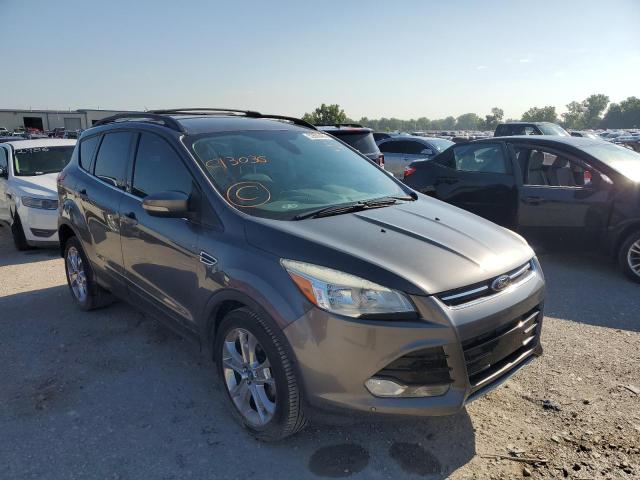 FORD ESCAPE SEL 2013 with VIN 1FMCU0HX3DUC13036 - Photo from auction