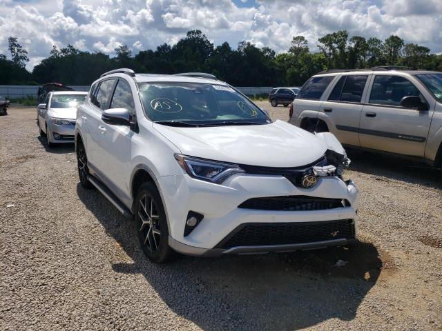 Photo 1 from auction – 2017 TOYOTA RAV4 SE with VIN 2T3NFREV0HW354721