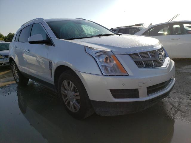 CADILLAC SRX 2010 with VIN 3GYFNAEY1AS642277 - Photo from auction