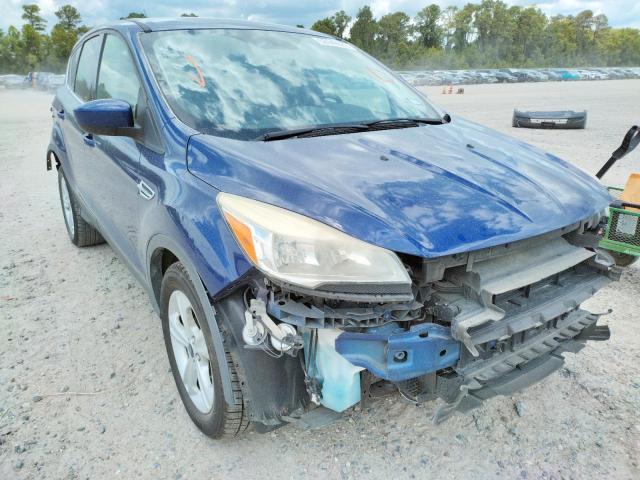 FORD ESCAPE SE 2014 with VIN 1FMCU0GX4EUB59216 - Photo from auction