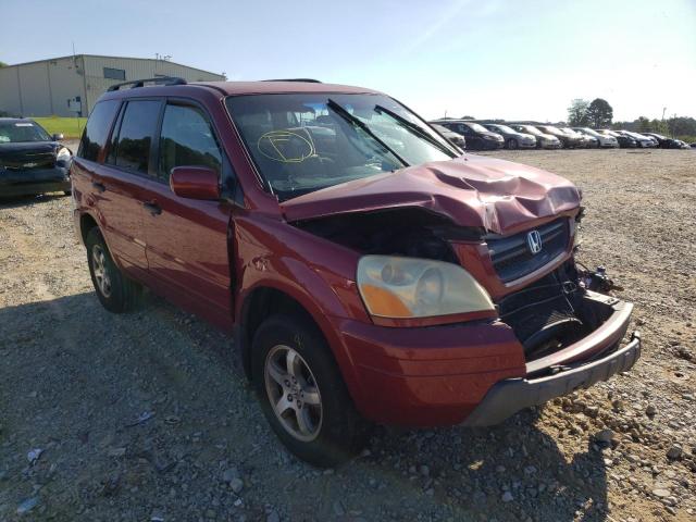 HONDA PILOT EX 2005 with VIN 5FNYF18475B010581 - Photo from auction