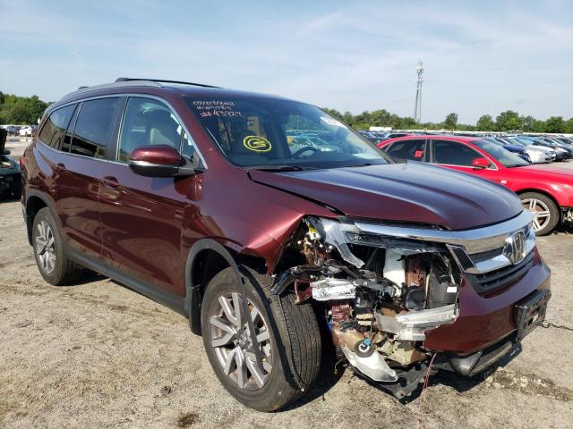 HONDA PILOT EXL 2019 with VIN 5FNYF6H44KB028982 - Photo from auction