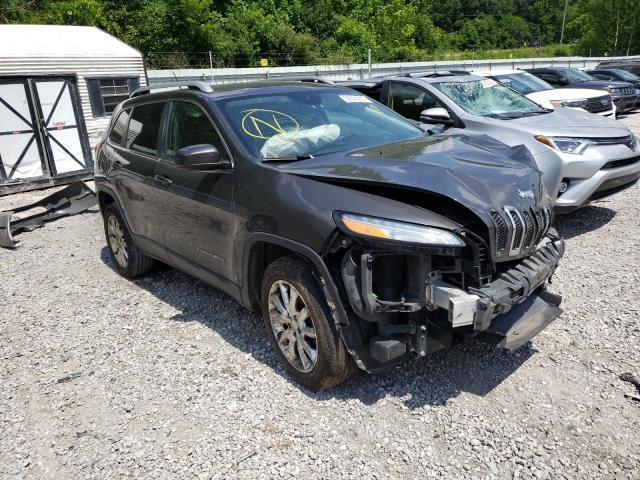 JEEP CHEROKEE 2014 with VIN 1C4PJMDS4EW280833 - Photo from auction