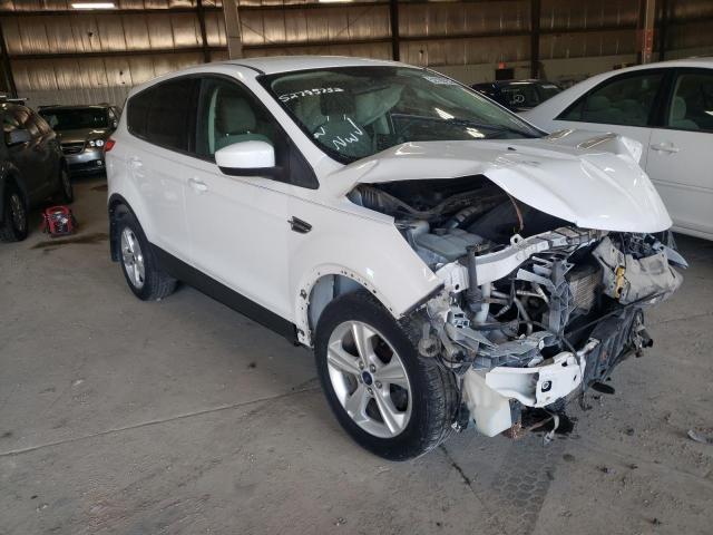 FORD ESCAPE SE 2013 with VIN 1FMCU0GX4DUC04413 - Photo from auction