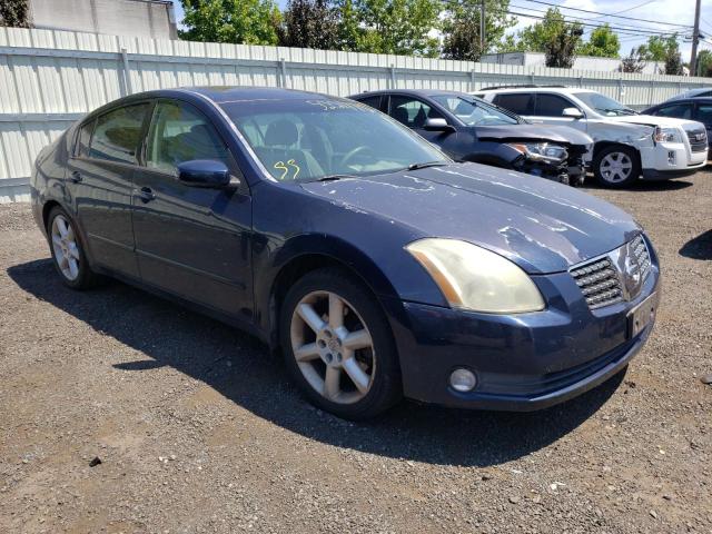 NISSAN MAXIMA 2004 with VIN 1N4BA41EX4C930568 - Photo from auction