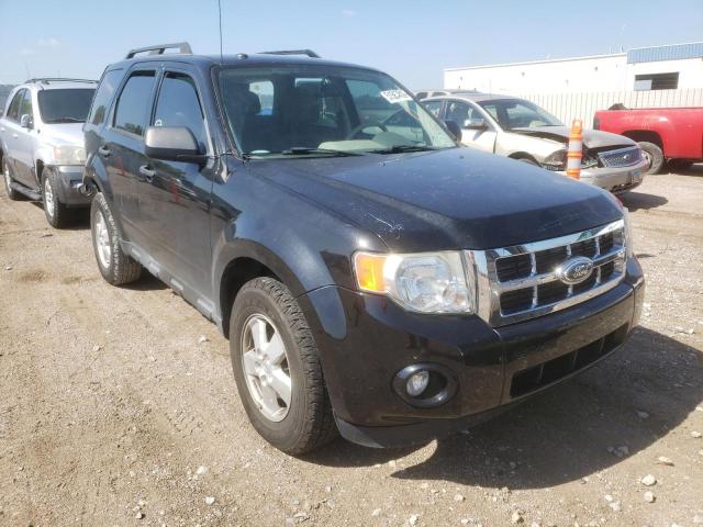 FORD ESCAPE XLT 2011 with VIN 1FMCU0D70BKA87152 - Photo from auction