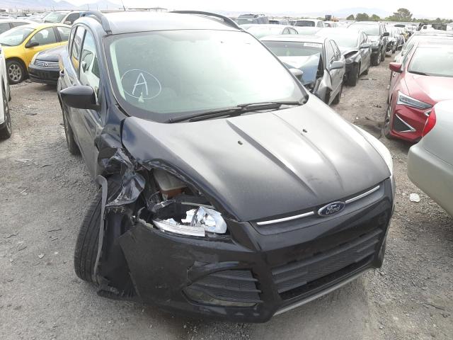 FORD ESCAPE SE 2014 with VIN 1FMCU0GX8EUB94146 - Photo from auction
