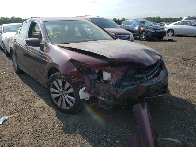 HONDA ACCORD EXL 2012 with VIN 1HGCP2F84CA044553 - Photo from auction