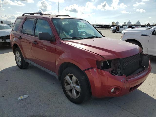FORD ESCAPE XLT 2010 with VIN 1FMCU0D71AKA54997 - Photo from auction