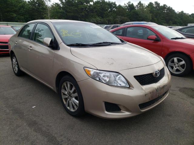 TOYOTA COROLLA BA 2009 with VIN 2T1BU40EX9C057325 - Photo from auction