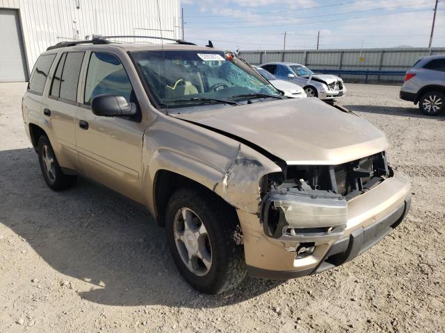 CHEVROLET TRAILBLAZE 2006 with VIN 1GNDT13S962320675 - Photo from auction