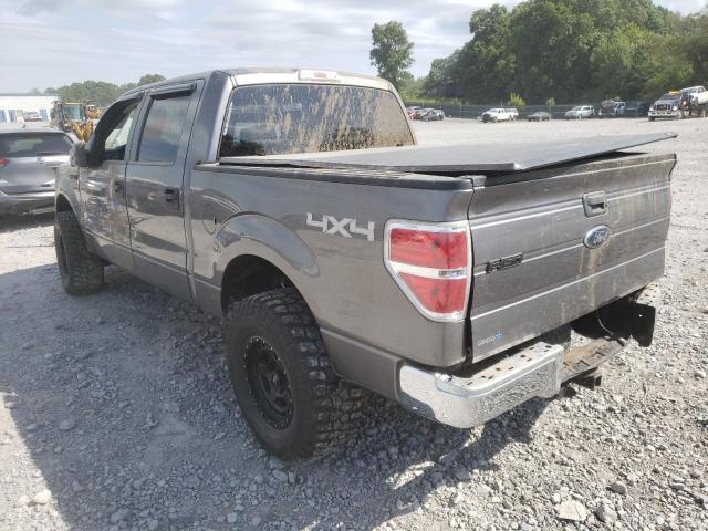 Photo 3 from auction – 2009 FORD F150 SUPER with VIN 1FTPW14VX9FB02019
