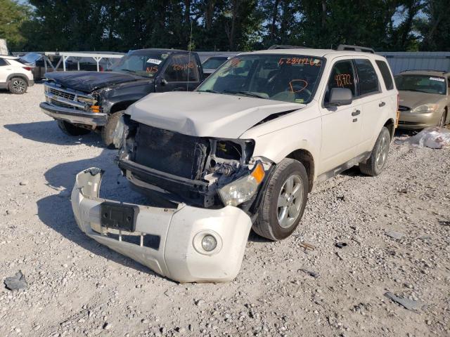 Photo 2 from auction – 2009 FORD ESCAPE XLT with VIN 1FMCU03789KA81577