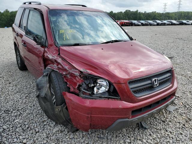 HONDA PILOT EXL 2005 with VIN 5FNYF18695B012902 - Photo from auction