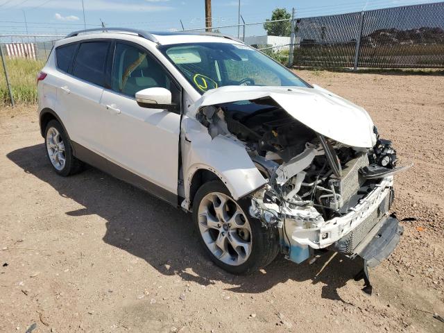 FORD ESCAPE TIT 2014 with VIN 1FMCU9J91EUB30612 - Photo from auction