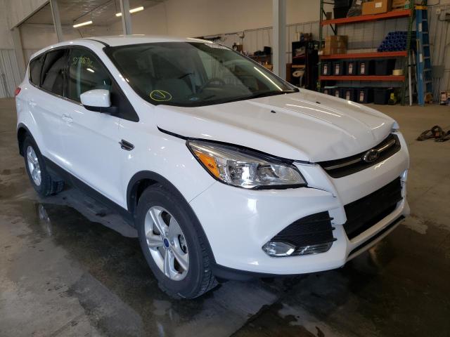 FORD ESCAPE SE 2014 with VIN 1FMCU9G96EUA07427 - Photo from auction