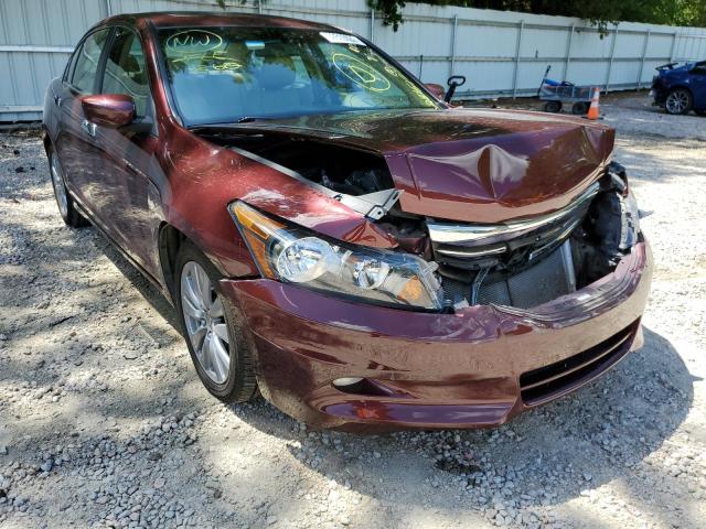 HONDA ACCORD EXL 2011 with VIN 1HGCP3F8XBA028653 - Photo from auction