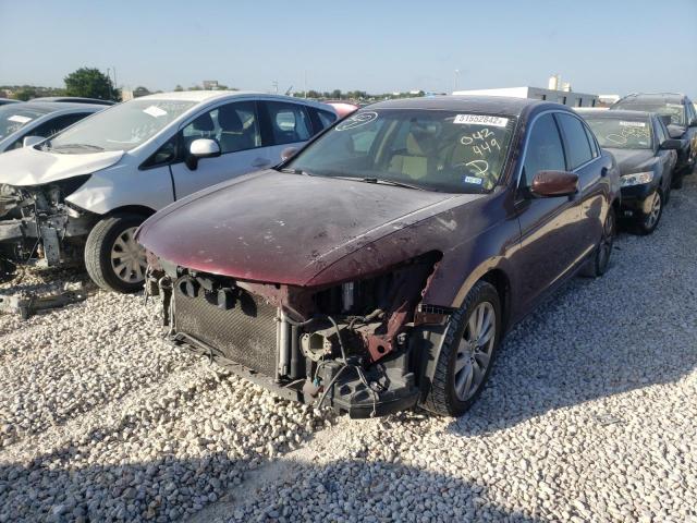 Photo 2 from auction – 2011 HONDA ACCORD EX with VIN 1HGCP2F72BA042449