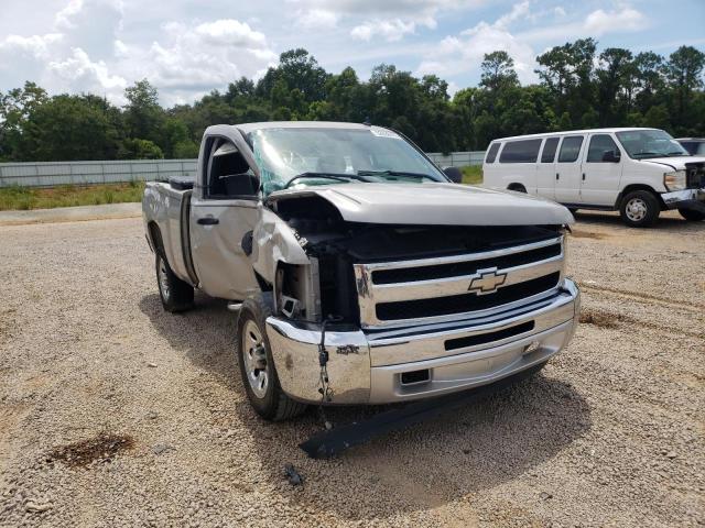 CHEVROLET SILVERADO 2009 with VIN 1GCEC14X29Z188961 - Photo from auction