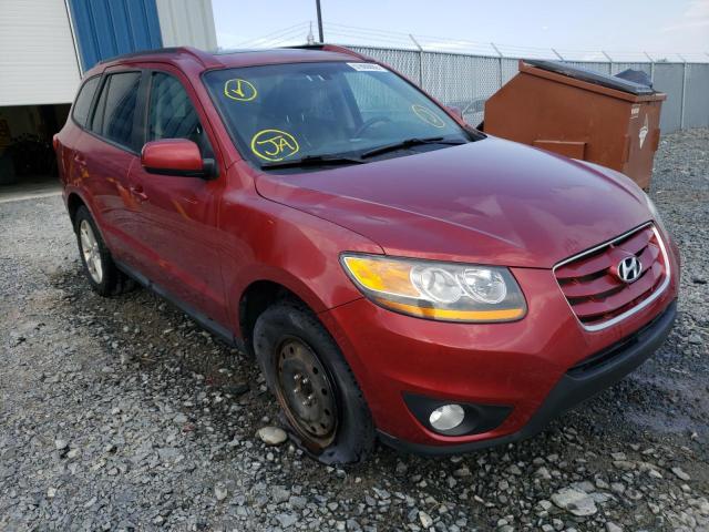 HYUNDAI SANTA FE 2010 with VIN 5NMSG4AG1AH388879 - Photo from auction