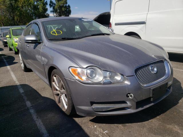 JAGUAR XF PREMIUM 2011 with VIN SAJWA0GB8BLS08581 - Photo from auction