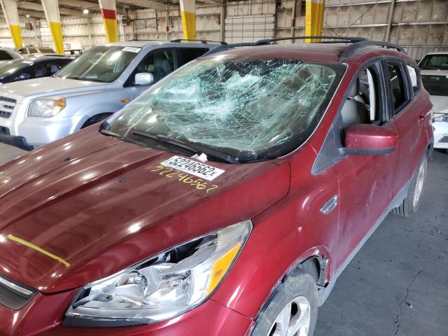Photo 9 from auction – 2013 FORD ESCAPE SE with VIN 1FMCU0GX1DUA93500