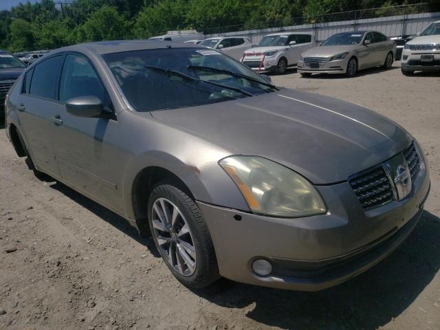 NISSAN MAXIMA SE 2004 with VIN 1N4BA41E04C871272 - Photo from auction
