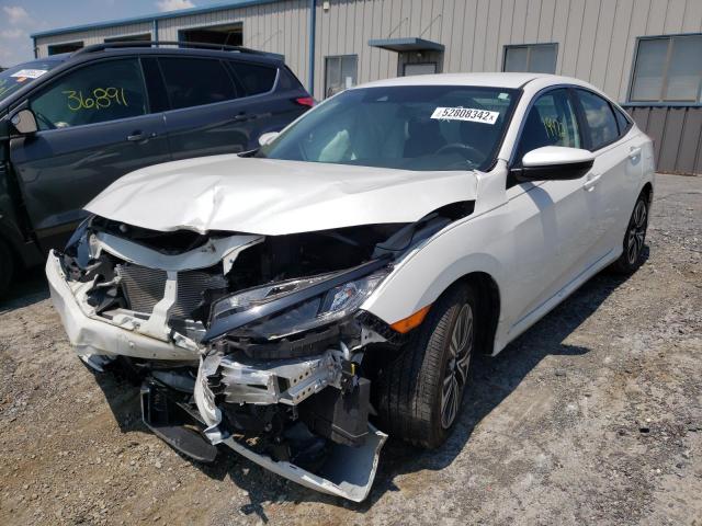 Photo 2 from auction – 2019 HONDA CIVIC LX with VIN 2HGFC2F69KH566795