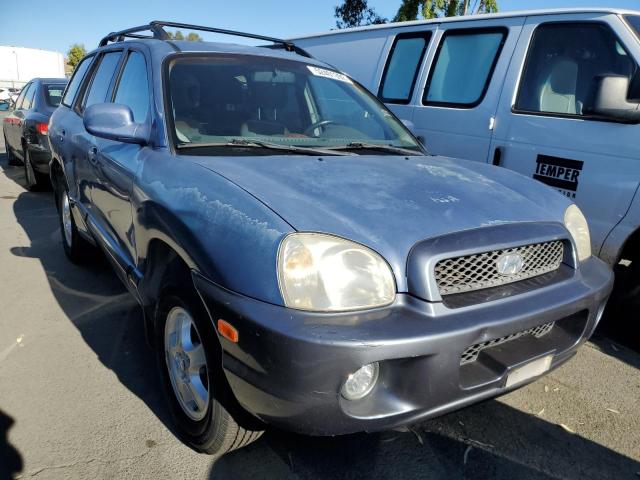 HYUNDAI SANTA FE 2003 with VIN KM8SC13D63U375615 - Photo from auction