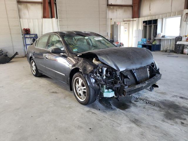 NISSAN ALTIMA S 2005 with VIN 1N4AL11D65C303346 - Photo from auction