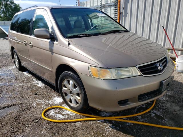 HONDA ODYSSEY 2003 with VIN 5FNRL18023B096647 - Photo from auction