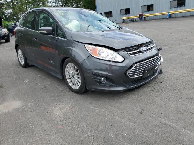 FORD C-MAX PREM 2016 with VIN 1FADP5CU9GL119432 - Photo from auction