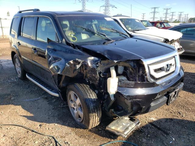 HONDA PILOT EXL 2011 with VIN 5FNYF4H68BB095834 - Photo from auction