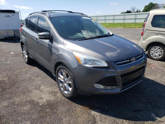 FORD ESCAPE SEL 2013 with VIN 1FMCU9H93DUC53946 - Photo from auction
