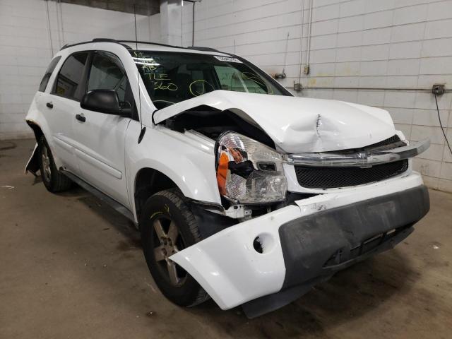 CHEVROLET EQUINOX LS 2005 with VIN 2CNDL23FX56165732 - Photo from auction