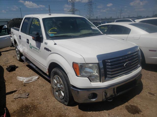 FORD F150 SUPER 2010 with VIN 1FTFW1EV0AFA61589 - Photo from auction