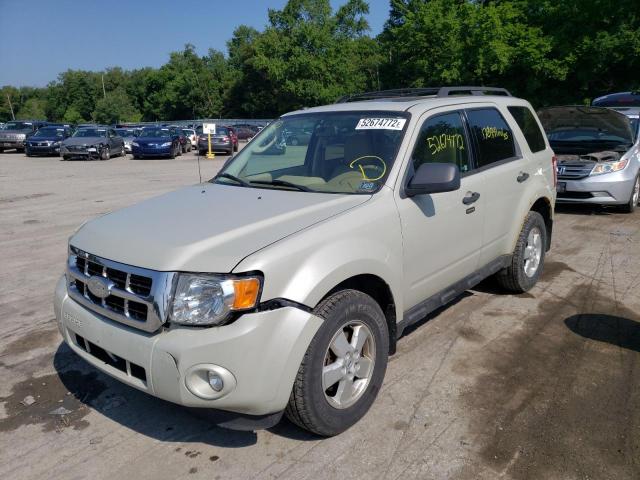 Photo 2 from auction – 2009 FORD ESCAPE XLT with VIN 1FMCU937X9KA13754