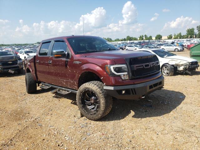 FORD F-150 2010 with VIN 1FTFW1EV7AFC41149 - Photo from auction